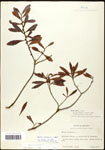 000061483-thumbnail.jpg