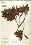 000061484-thumbnail.jpg