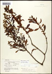 000061486-thumbnail.jpg