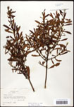 000061489-thumbnail.jpg