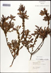 000061490-thumbnail.jpg