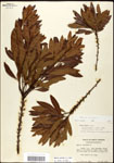 000061491-thumbnail.jpg