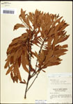 000061492-thumbnail.jpg