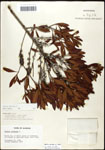 000061493-thumbnail.jpg