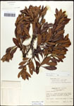 000061494-thumbnail.jpg