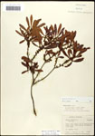 000061496-thumbnail.jpg