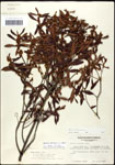 000061498-thumbnail.jpg