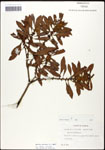 000061501-thumbnail.jpg
