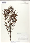 000061502-thumbnail.jpg