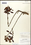000061503-thumbnail.jpg
