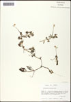 000061519-thumbnail.jpg