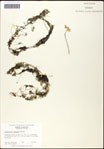 000061521-thumbnail.jpg
