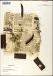 000061522-thumbnail.jpg
