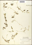 000061525-thumbnail.jpg