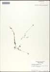 000061526-thumbnail.jpg