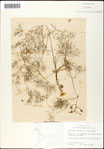000061529-thumbnail.jpg