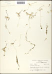 000061532-thumbnail.jpg