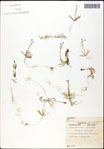 000061534-thumbnail.jpg