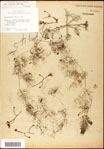 000061536-thumbnail.jpg