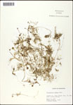 000061537-thumbnail.jpg