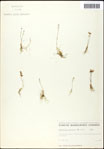 000061540-thumbnail.jpg