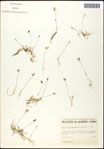 000061541-thumbnail.jpg