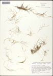 000061542-thumbnail.jpg