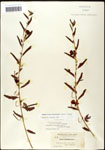 000061543-thumbnail.jpg