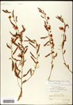 000061544-thumbnail.jpg