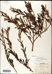 000061545-thumbnail.jpg