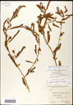 000061548-thumbnail.jpg
