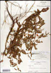 000061549-thumbnail.jpg