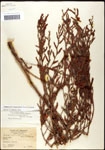 000061551-thumbnail.jpg