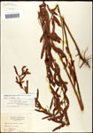 000061552-thumbnail.jpg