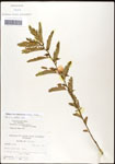 000061559-thumbnail.jpg