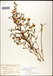 000061560-thumbnail.jpg