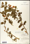 000061561-thumbnail.jpg
