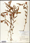 000061565-thumbnail.jpg