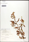 000061567-thumbnail.jpg