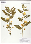 000061573-thumbnail.jpg
