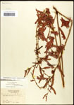 000061576-thumbnail.jpg