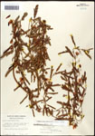 000061578-thumbnail.jpg