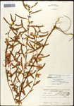 000061579-thumbnail.jpg