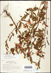 000061583-thumbnail.jpg