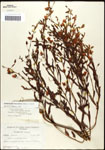 000061588-thumbnail.jpg