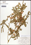 000061593-thumbnail.jpg
