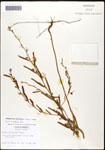 000061596-thumbnail.jpg