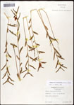 000061597-thumbnail.jpg