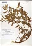 000061599-thumbnail.jpg