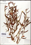 000061600-thumbnail.jpg